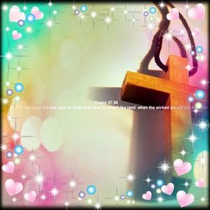 Meet your Posher, Jo